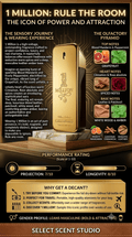 Paco Rabanne 1 Million - Decant fragrance decant - Select Scent Studio